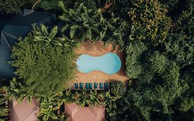 Chanya By Ardhi Africa